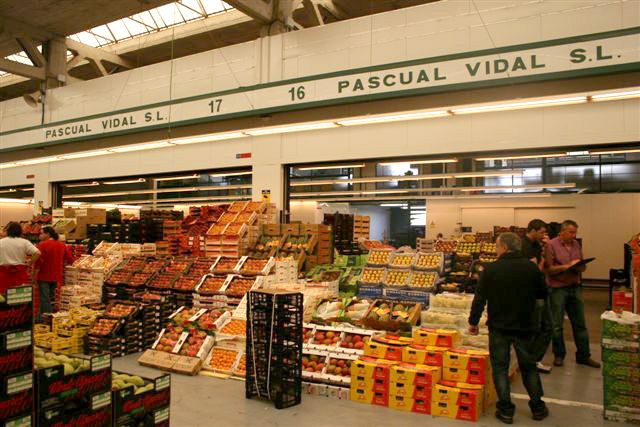 pascual-vidal-01